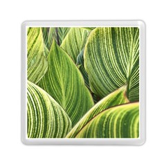 Leaves Striped Pattern Texture Memory Card Reader (square) by Simbadda