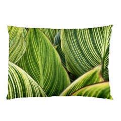 Leaves Striped Pattern Texture Pillow Case (two Sides) by Simbadda