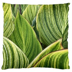 Leaves Striped Pattern Texture Standard Flano Cushion Case (one Side) by Simbadda