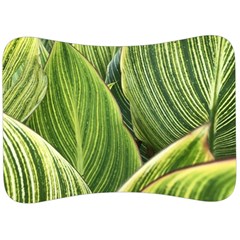 Leaves Striped Pattern Texture Velour Seat Head Rest Cushion by Simbadda