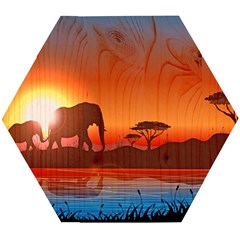 African Background Wooden Puzzle Hexagon