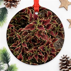 Plant Colorful Red Garden Leaves Ornament (round) by Simbadda