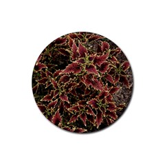 Plant Colorful Red Garden Leaves Rubber Round Coaster (4 Pack)  by Simbadda