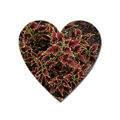 Plant Colorful Red Garden Leaves Heart Magnet by Simbadda