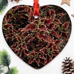 Plant Colorful Red Garden Leaves Heart Ornament (two Sides) by Simbadda