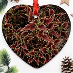 Plant Colorful Red Garden Leaves Heart Ornament (Two Sides) Back