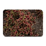 Plant Colorful Red Garden Leaves Plate Mats 18 x12  Plate Mat