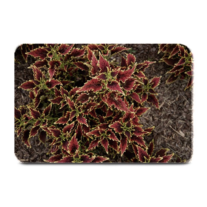 Plant Colorful Red Garden Leaves Plate Mats