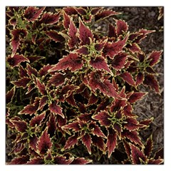 Plant Colorful Red Garden Leaves Large Satin Scarf (square) by Simbadda