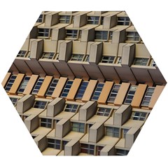 Architecture Geometry Wooden Puzzle Hexagon