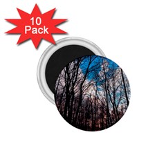 Winter Tree Park Sky Nature 1 75  Magnets (10 Pack)  by Simbadda