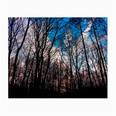 Winter Tree Park Sky Nature Small Glasses Cloth (2 Sides) by Simbadda