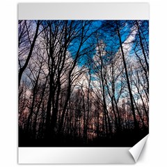 Winter Tree Park Sky Nature Canvas 11  X 14  by Simbadda