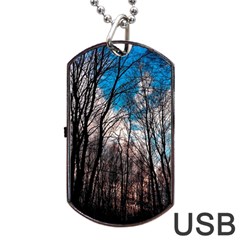 Winter Tree Park Sky Nature Dog Tag Usb Flash (two Sides) by Simbadda