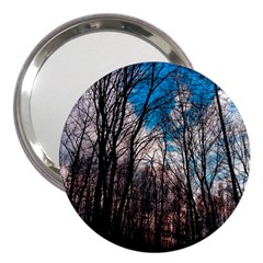 Winter Tree Park Sky Nature 3  Handbag Mirrors by Simbadda