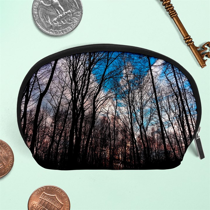 Winter Tree Park Sky Nature Accessory Pouch (Large)