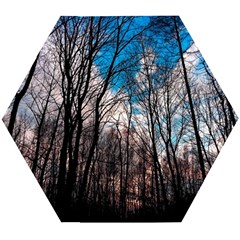 Winter Tree Park Sky Nature Wooden Puzzle Hexagon