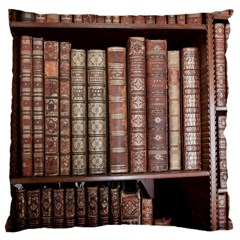 Library Books Knowledge Large Cushion Case (one Side)