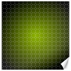 Hexagon Background Plaid Canvas 16  X 16  by Mariart