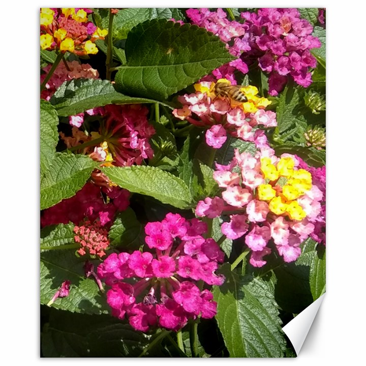 Summer Lantana w Bee Canvas 16  x 20 