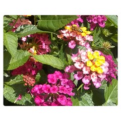 Summer Lantana W Bee Double Sided Flano Blanket (medium)  by Riverwoman