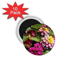 Summer Lantana W Bee 1 75  Magnets (10 Pack)  by Riverwoman