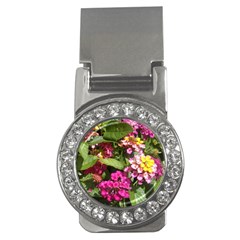 Summer Lantana W Bee Money Clips (cz)  by Riverwoman