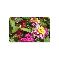 Summer Lantana W Bee Magnet (name Card) by Riverwoman