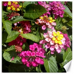 Summer Lantana W Bee Canvas 16  X 16  by Riverwoman