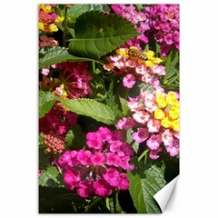 Summer Lantana W Bee Canvas 24  X 36  by Riverwoman