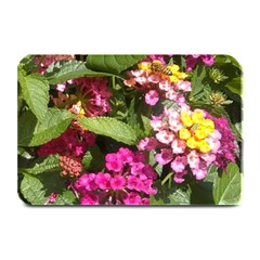 Summer Lantana W Bee Plate Mats by Riverwoman