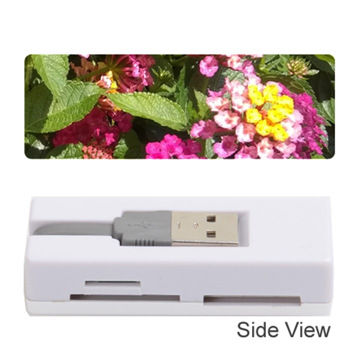 Summer Lantana w Bee Memory Card Reader (Stick)