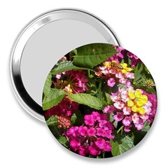 Summer Lantana W Bee 3  Handbag Mirrors by Riverwoman