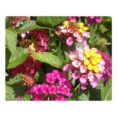 Summer Lantana W Bee Double Sided Flano Blanket (large)  by Riverwoman