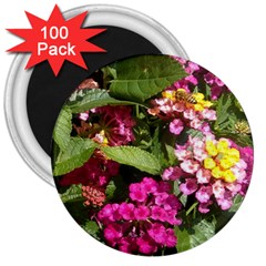 Summer Lantana W Bee 3  Magnets (100 Pack) by Riverwoman