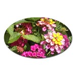 Summer Lantana w Bee Oval Magnet Front