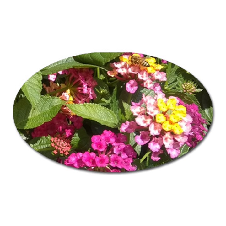 Summer Lantana w Bee Oval Magnet