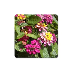 Summer Lantana W Bee Square Magnet by Riverwoman