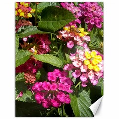 Summer Lantana W Bee Canvas 18  X 24  by Riverwoman