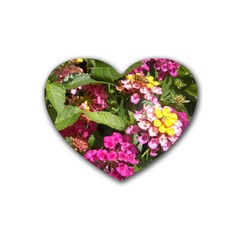 Summer Lantana W Bee Heart Coaster (4 Pack)  by Riverwoman