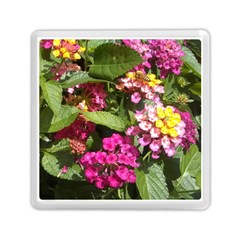 Summer Lantana W Bee Memory Card Reader (square) by Riverwoman