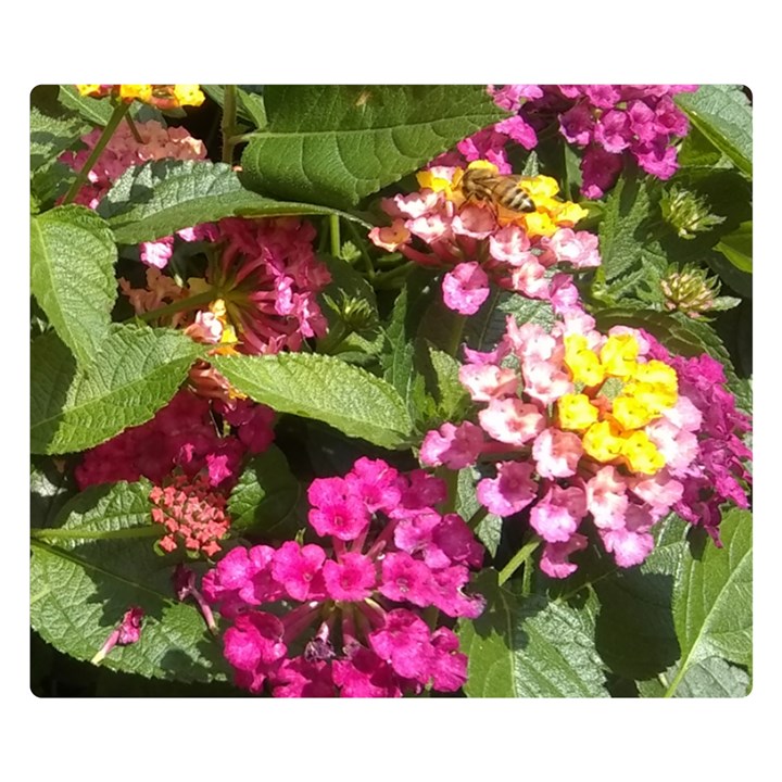 Summer Lantana w Bee Double Sided Flano Blanket (Small) 