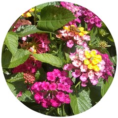 Summer Lantana W Bee Wooden Puzzle Round by Riverwoman