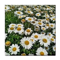 Columbus Commons Shasta Daisies Tile Coaster