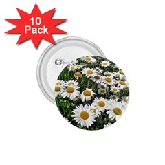 Columbus Commons Shasta Daisies 1.75  Buttons (10 pack)