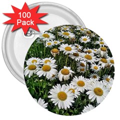 Columbus Commons Shasta Daisies 3  Buttons (100 pack) 