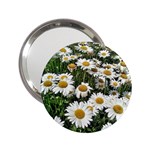 Columbus Commons Shasta Daisies 2.25  Handbag Mirrors Front