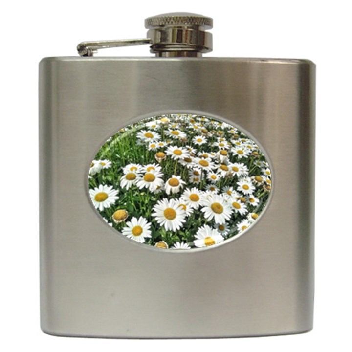 Columbus Commons Shasta Daisies Hip Flask (6 oz)