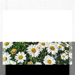 Columbus Commons Shasta Daisies Rectangular Jigsaw Puzzl by Riverwoman