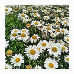 Columbus Commons Shasta Daisies Medium Glasses Cloth (2 Sides)